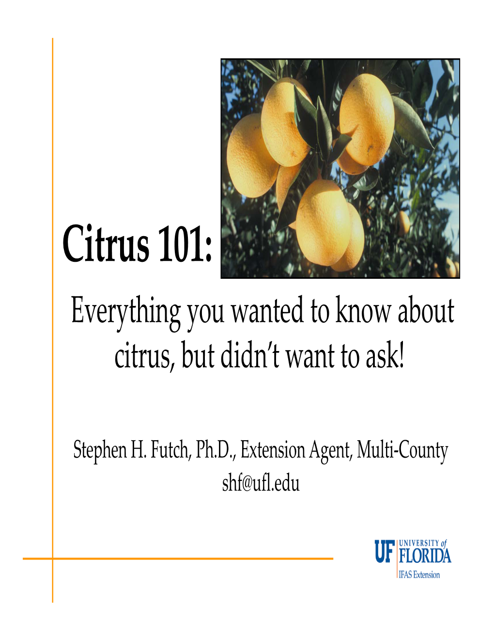 Citrus 101: Everything You Wanted to Know About Citrus, but Didn’T Want to Ask!