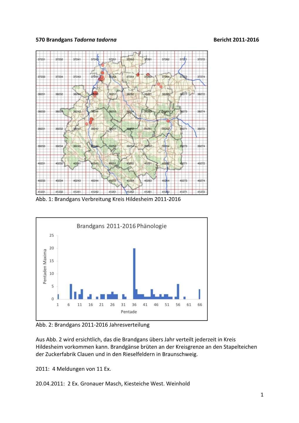 1 570 Brandgans Tadorna Tadorna Bericht 2011-2016 Abb. 1: Brandgans Verbreitung Kreis Hildesheim 2011-2016 Abb. 2: Brandgans 20