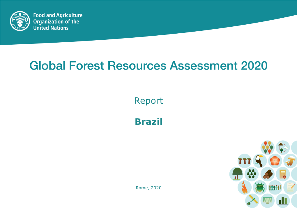 Global Forest Resources Assessment (FRA) 2020 Brazil