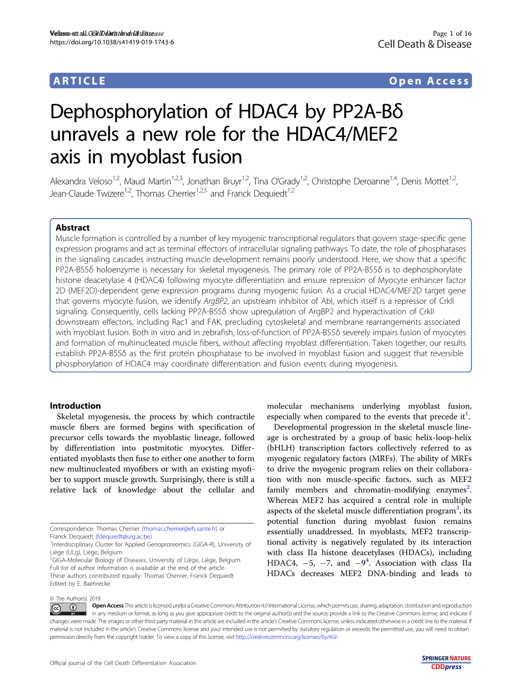 Dephosphorylation of HDAC4 by PP2A-Bδ Unravels a New Role For