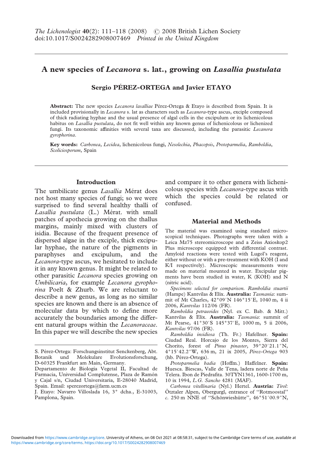 A New Species of Lecanora S. Lat., Growing on Lasallia Pustulata