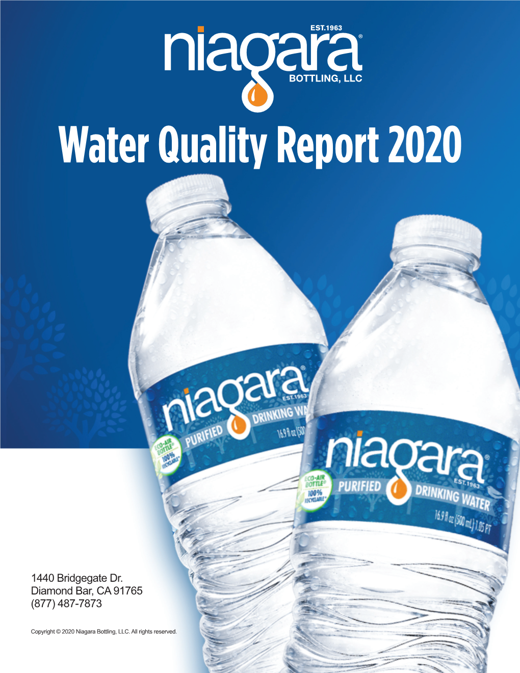 Water Quality Report 2020