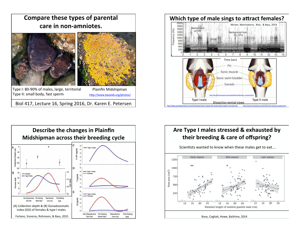 Compare These Types of Parental Care in Non-‐Amniotes