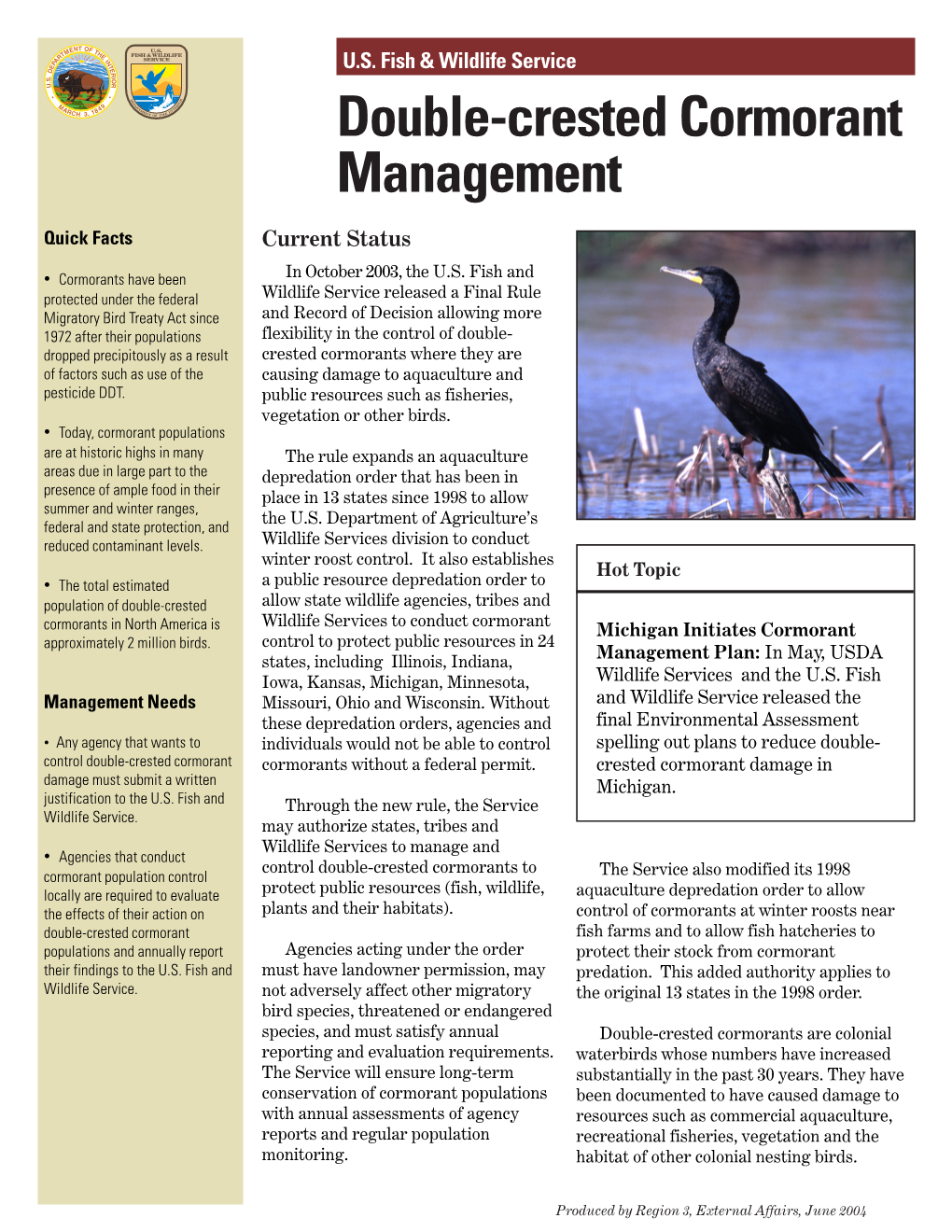 Double-Crested Cormorant Management