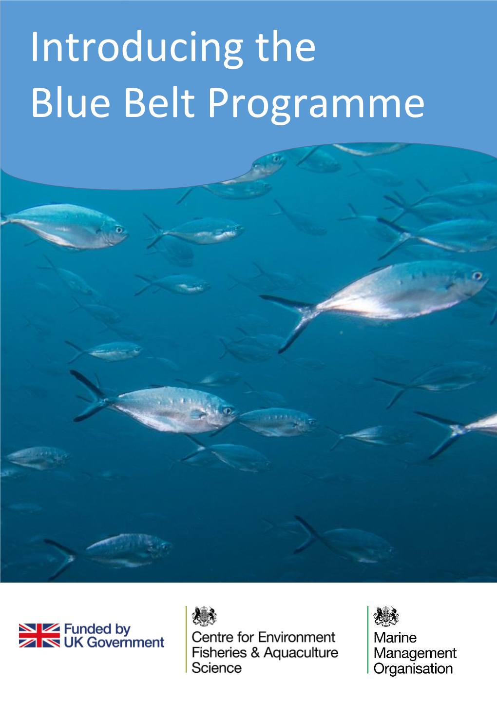 Introducing the Blue Belt Programme