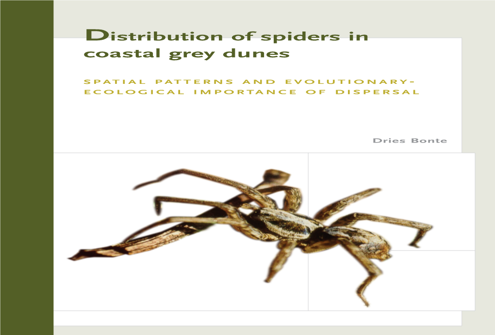Distribution of Spiders in Coastal Grey Dunes
