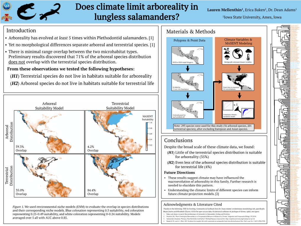 Assessing Environmental Variables Across Plethodontid Salamanders