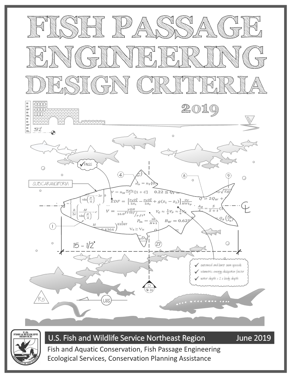 Fish Passage Engineering Design Criteria 2019 - DocsLib