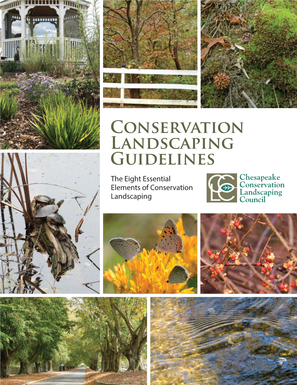 Conservation Landscaping Guidelines