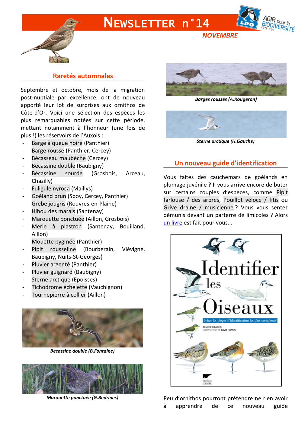 NEWSLETTER N°14 NOVEMBRE