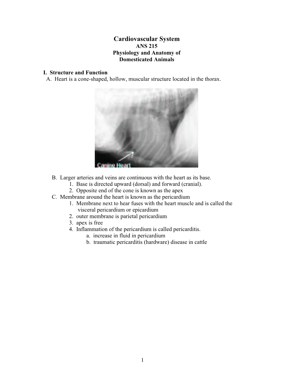 Cardiovascular System ANS 215 Physiology and Anatomy of Domesticated Animals