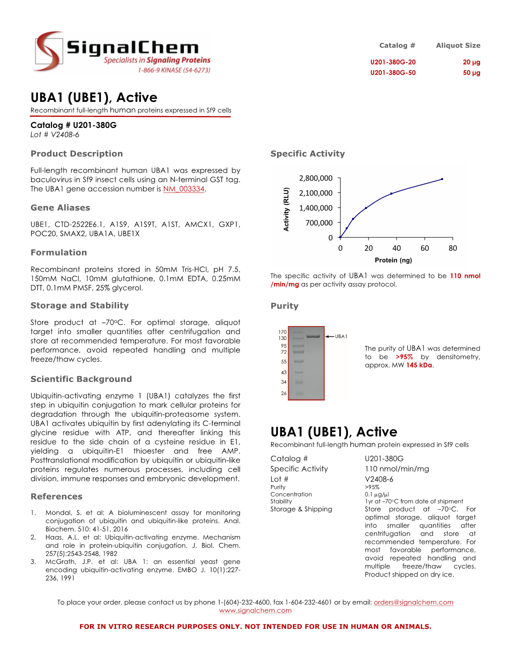 UBA1 (UBE1), Active Recombinant Full-Length Human Proteins Expressed in Sf9 Cells