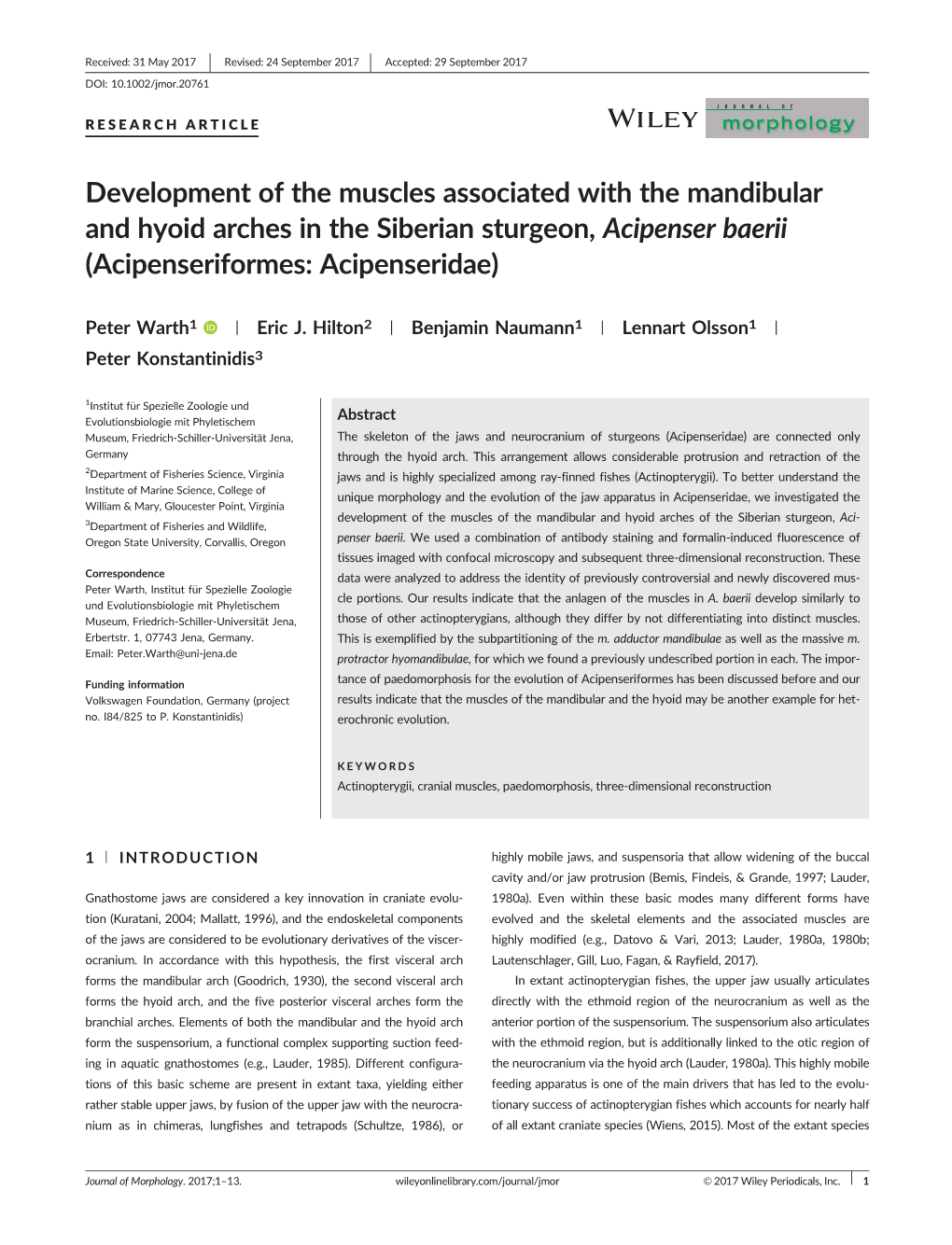 Development of the Muscles Associated with the Mandibular and Hyoid Arches in the Siberian Sturgeon, Acipenser Baerii (Acipenseriformes: Acipenseridae)