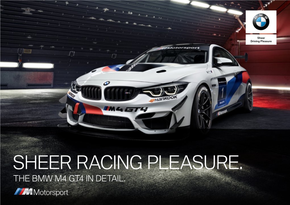 BMW M4 GT4 Information Brochure