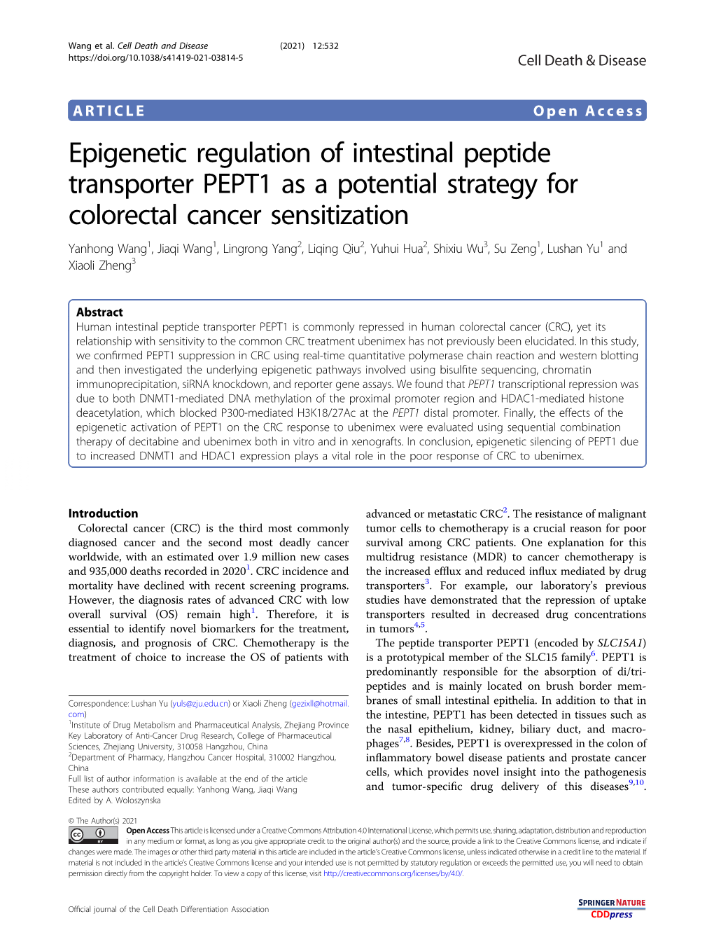 Epigenetic Regulation of Intestinal Peptide Transporter PEPT1
