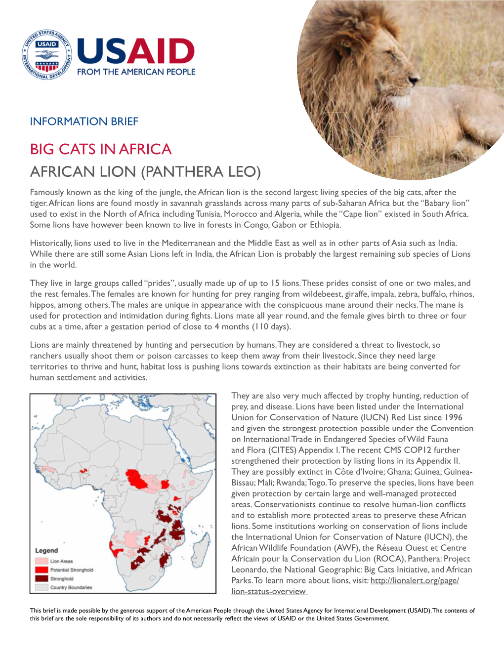 Big Cats in Africa Factsheet