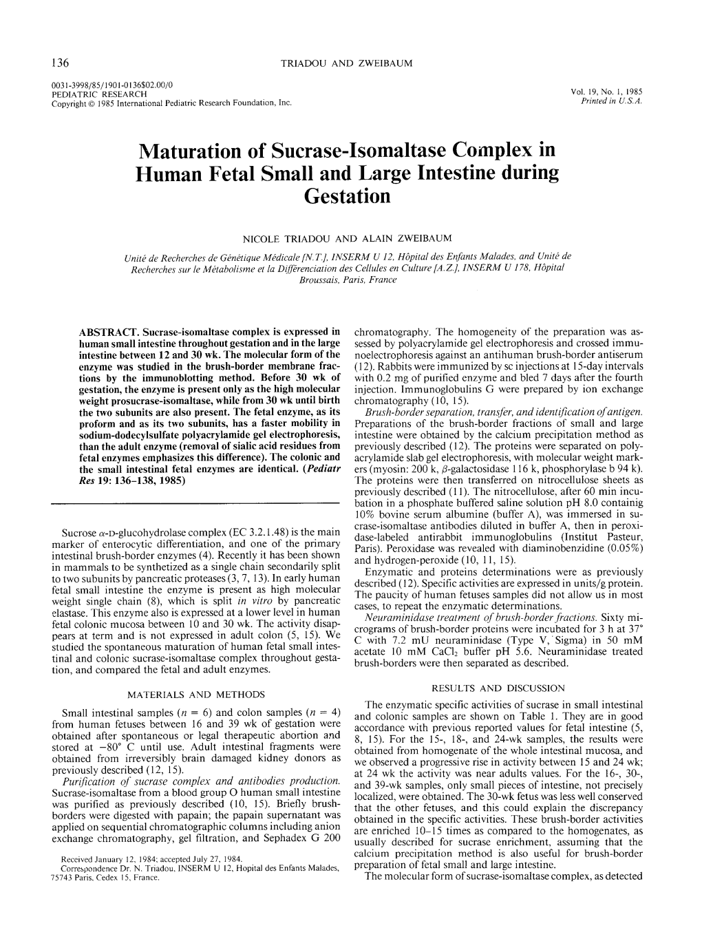 Maturation of Sucrase-Isomaltase Complex in Human Fetal Small and Large Intestine During Gestation