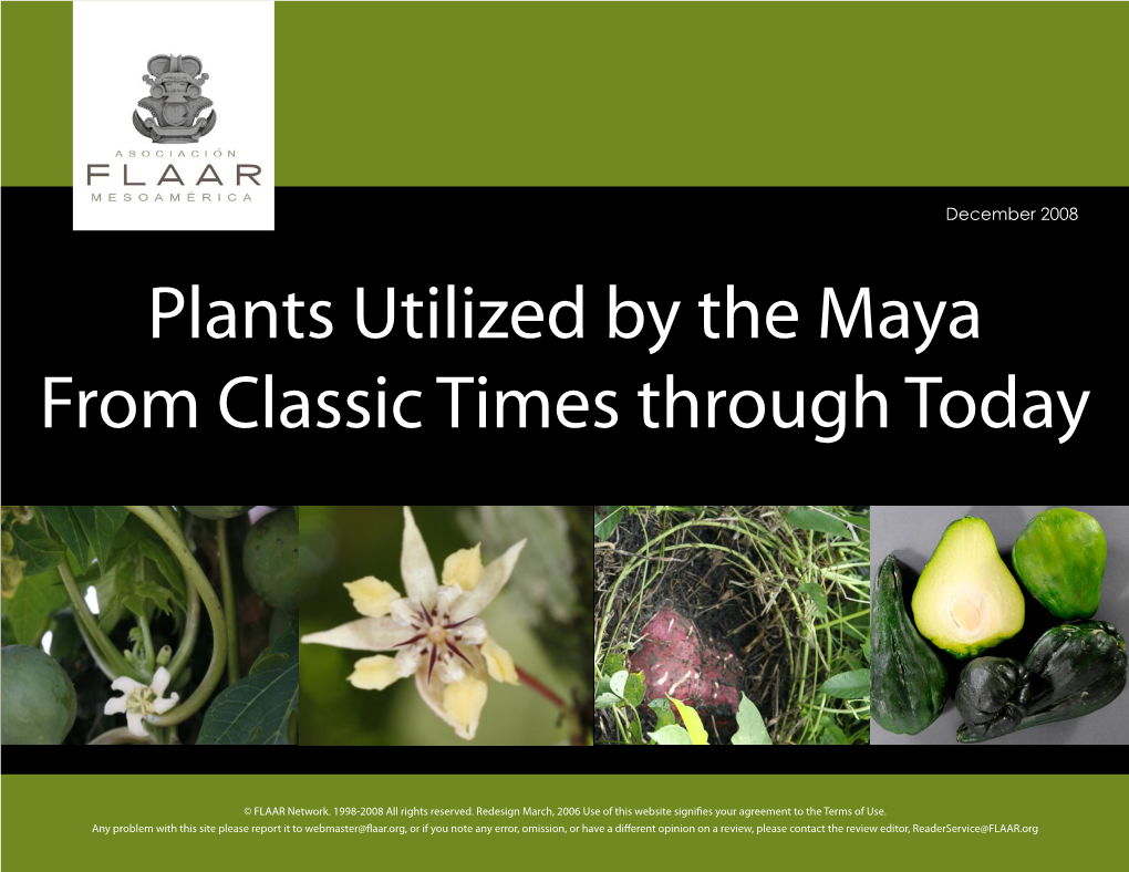 Plants Utilized by the Maya from Classic Times Through Today