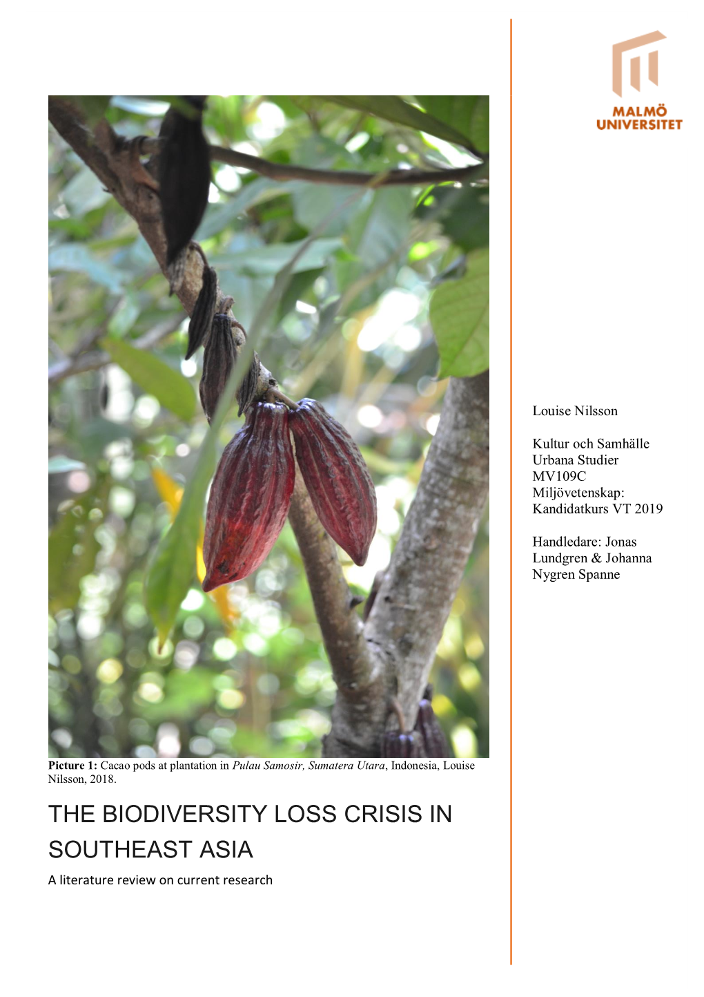 THE BIODIVERSITY LOSS CRISIS in SOUTHEAST ASIA a Literature Review on Current Research