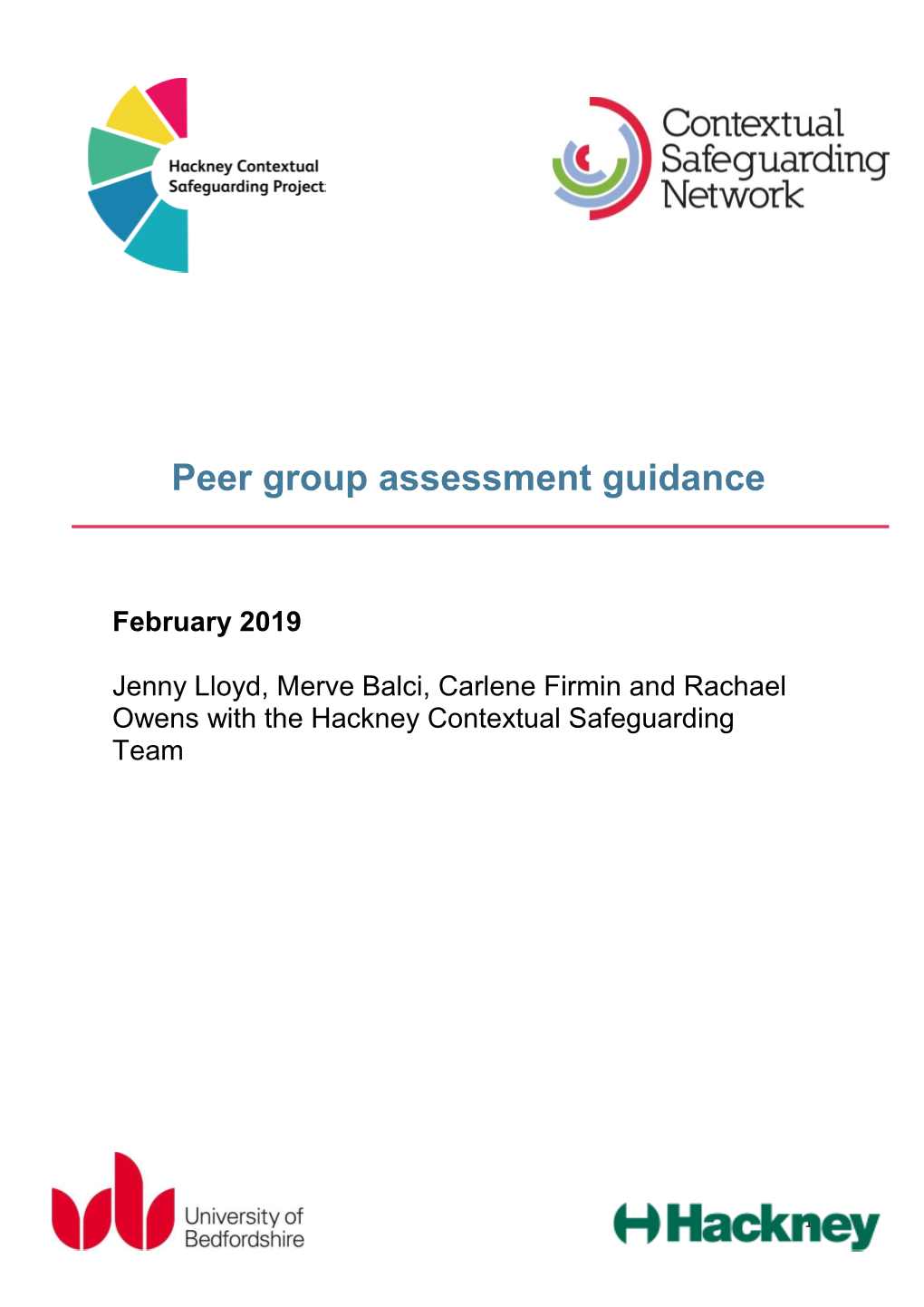 Peer Group Assessment Guidance