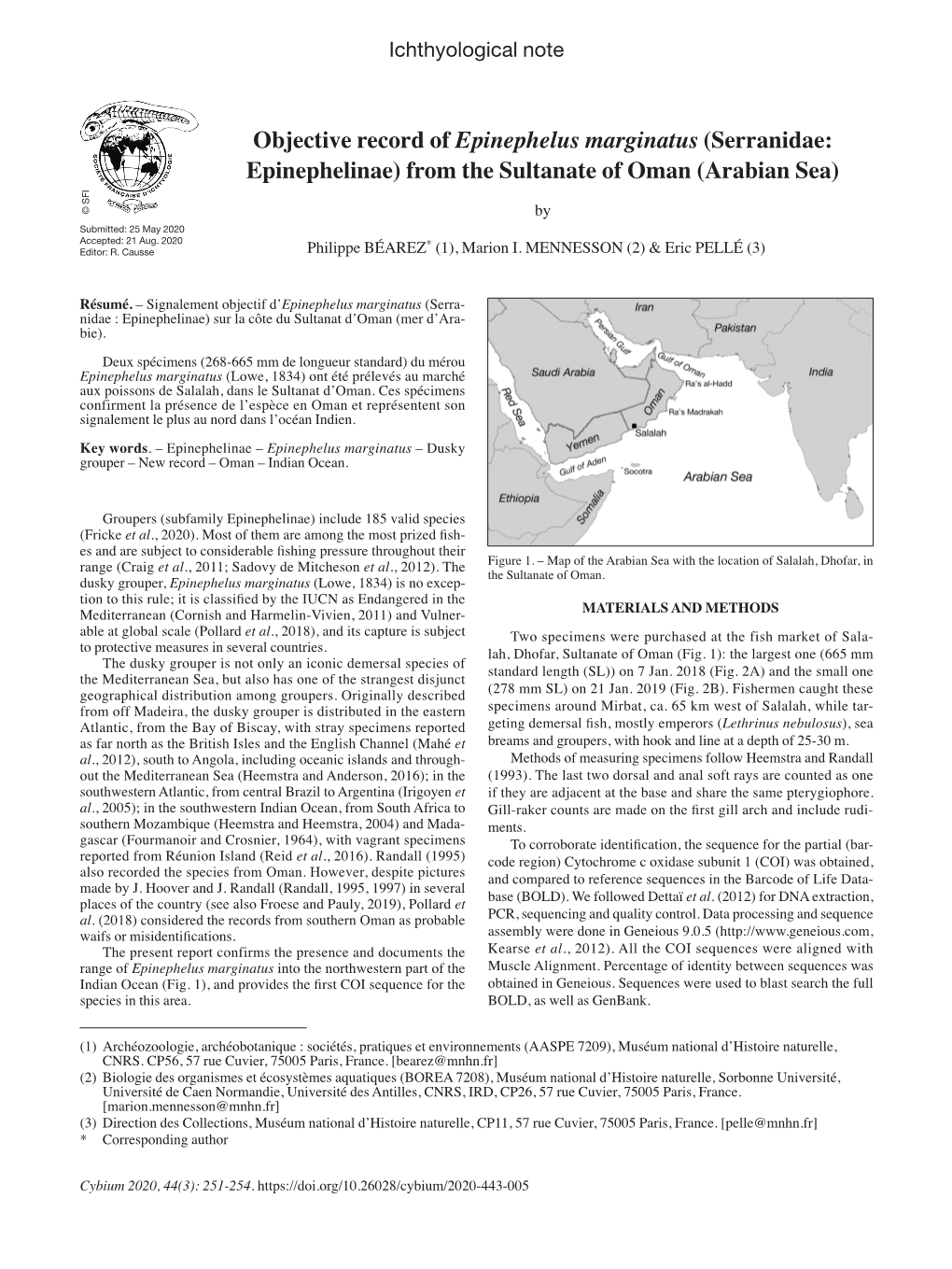 Objective Record of Epinephelus Marginatus (Serranidae: Epinephelinae) from the Sultanate of Oman (Arabian Sea)