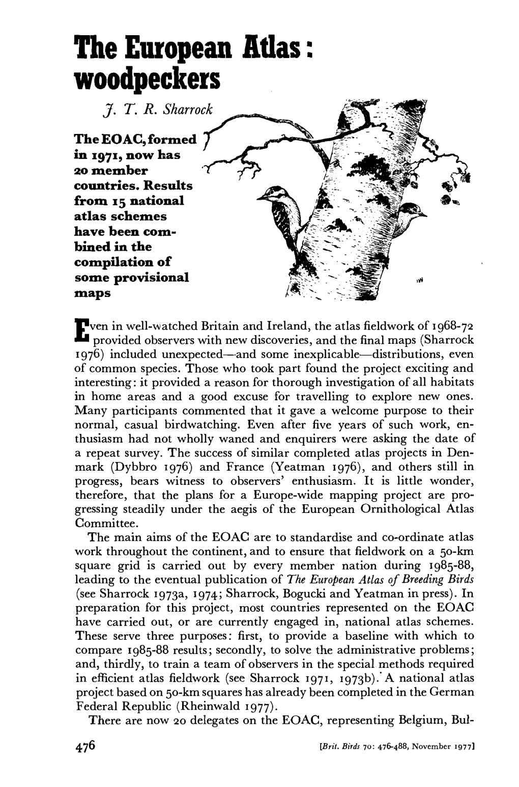 The European Atlas: Woodpeckers J