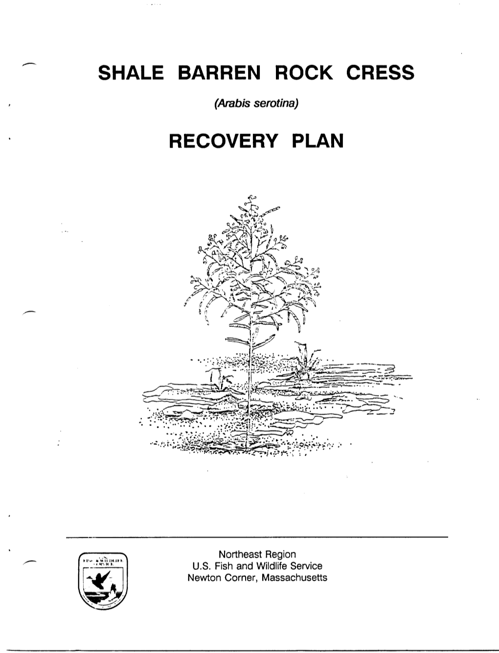 Shale Barren Rock Recovery Plan Cress