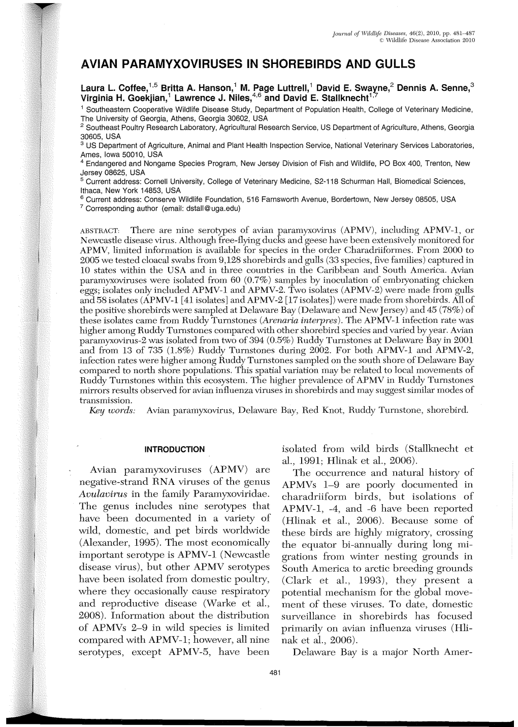 AVIAN PARAMYXOVIRUSES in SHOREBIRDS and Gulls