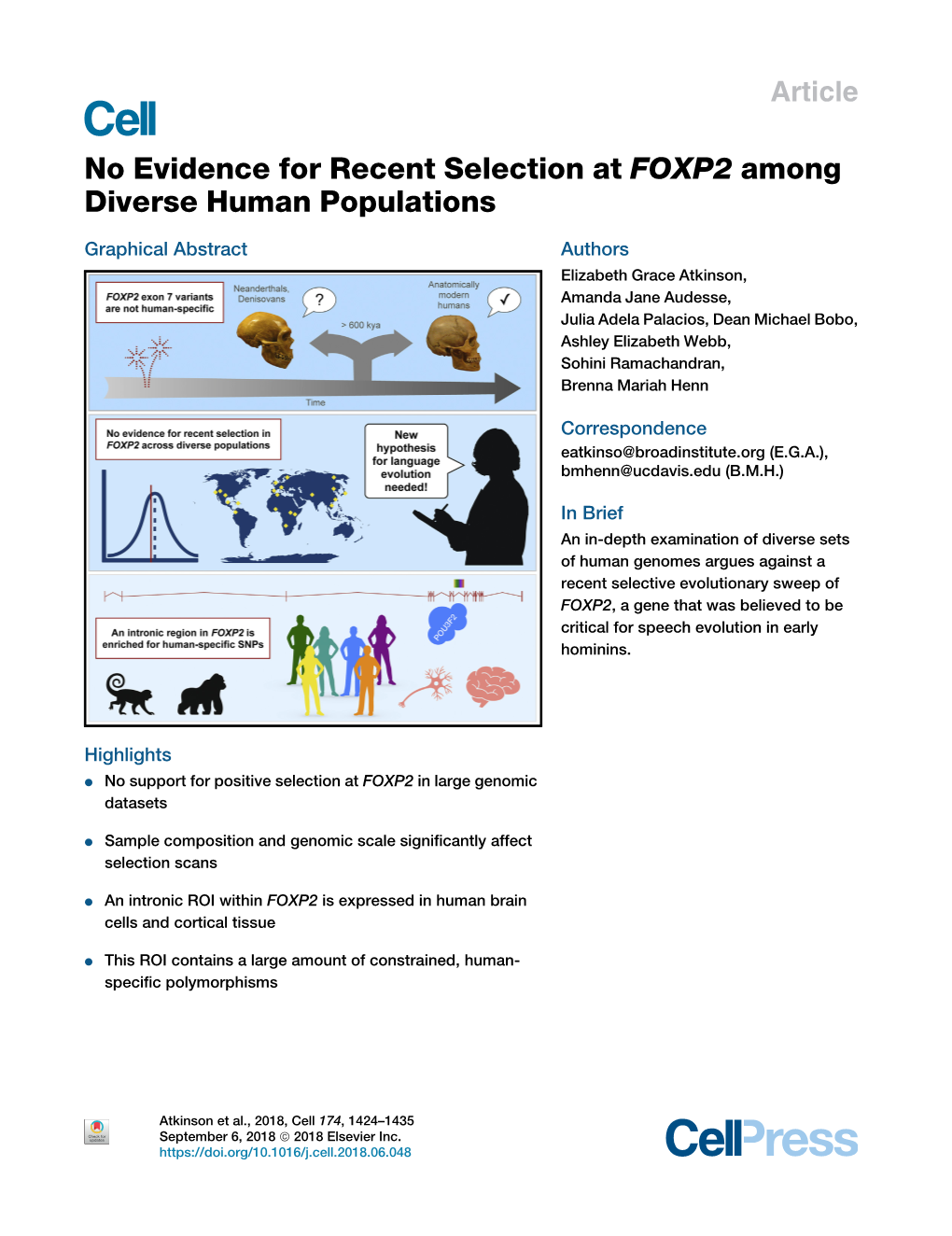 No Evidence for Recent Selection at FOXP2 Among Diverse Human Populations