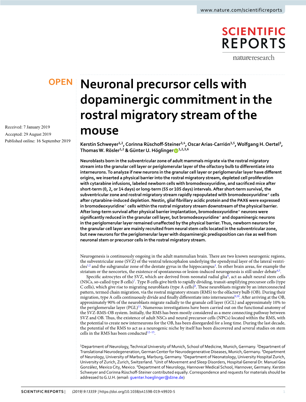 Neuronal Precursor Cells with Dopaminergic Commitment in The