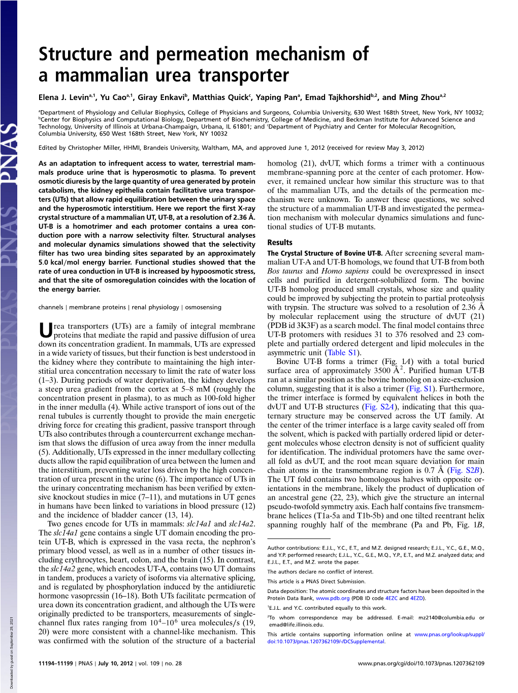 Structure and Permeation Mechanism of a Mammalian Urea Transporter