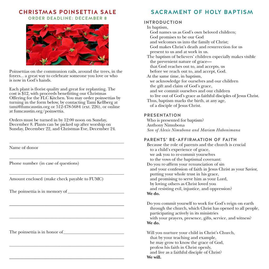 Christmas Poinsettia Sale Sacrament of Holy Baptism