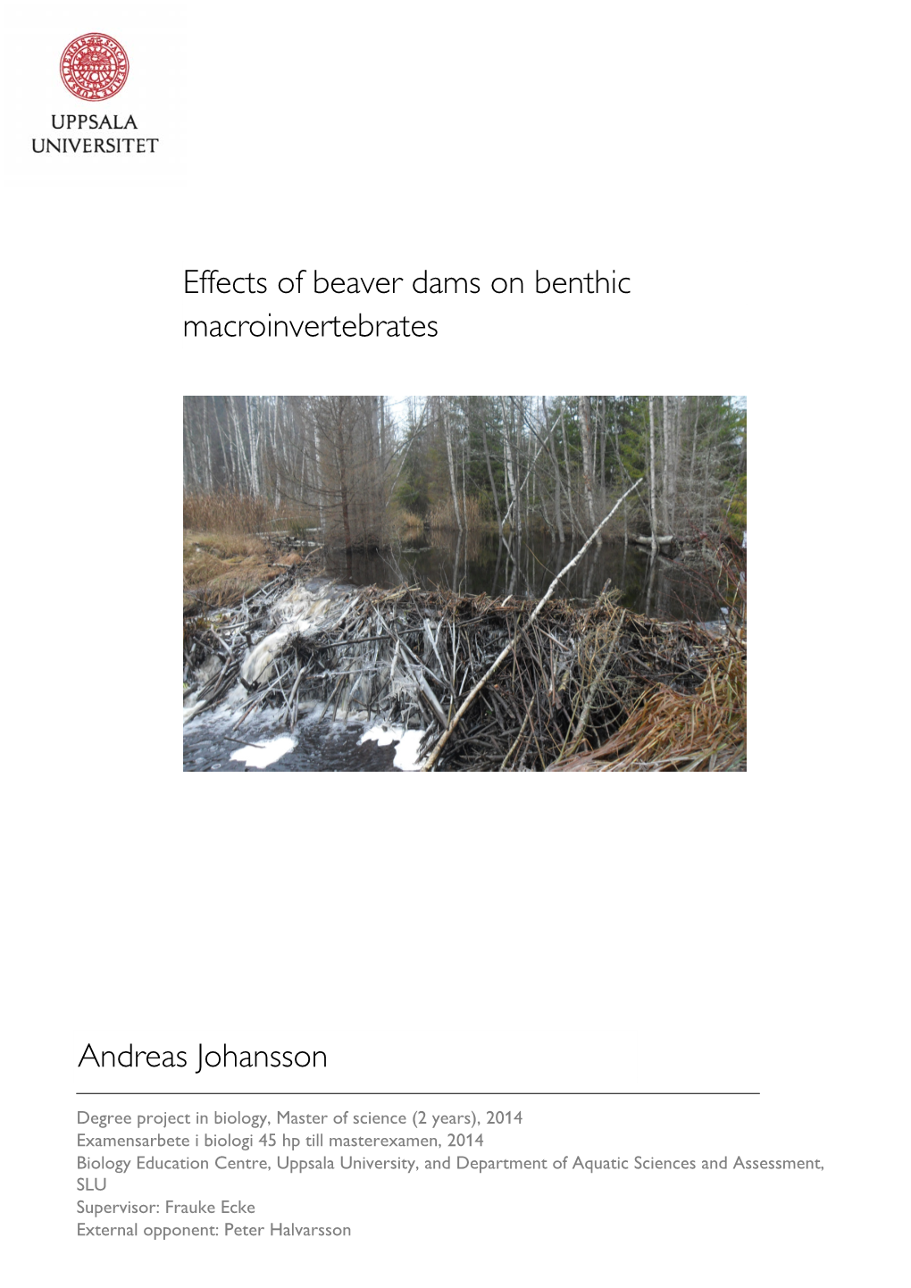 Effects of Beaver Dams on Benthic Macroinvertebrates