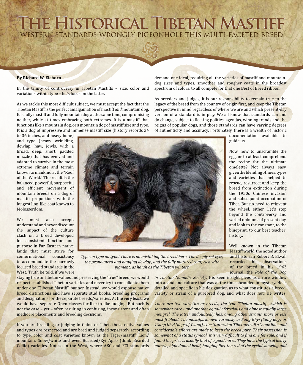 The Historical Tibetan Mastiff Western Standards Wrongly Pigeonhole This Multi-Faceted Breed