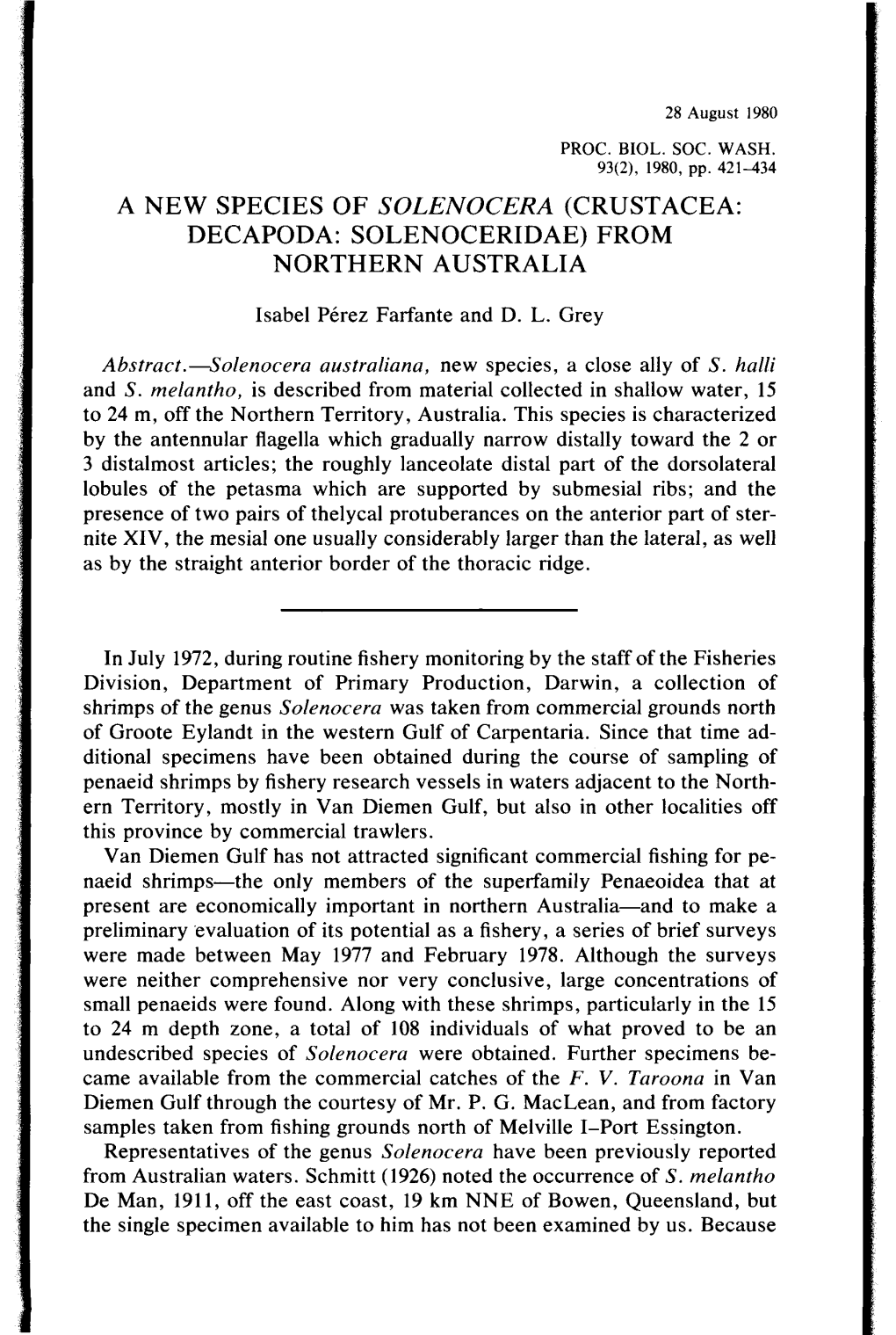 A NEW SPECIES of SOLENOCERA (CRUSTACEA: DECAPODA: SOLENOCERIDAE) from NORTHERN AUSTRALIA Isabel Perez Farfante and D