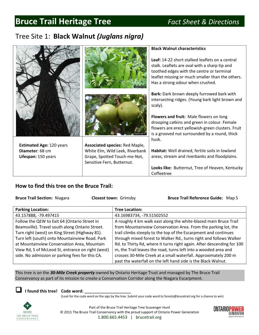 Bruce Trail Heritage Tree Fact Sheet & Directions