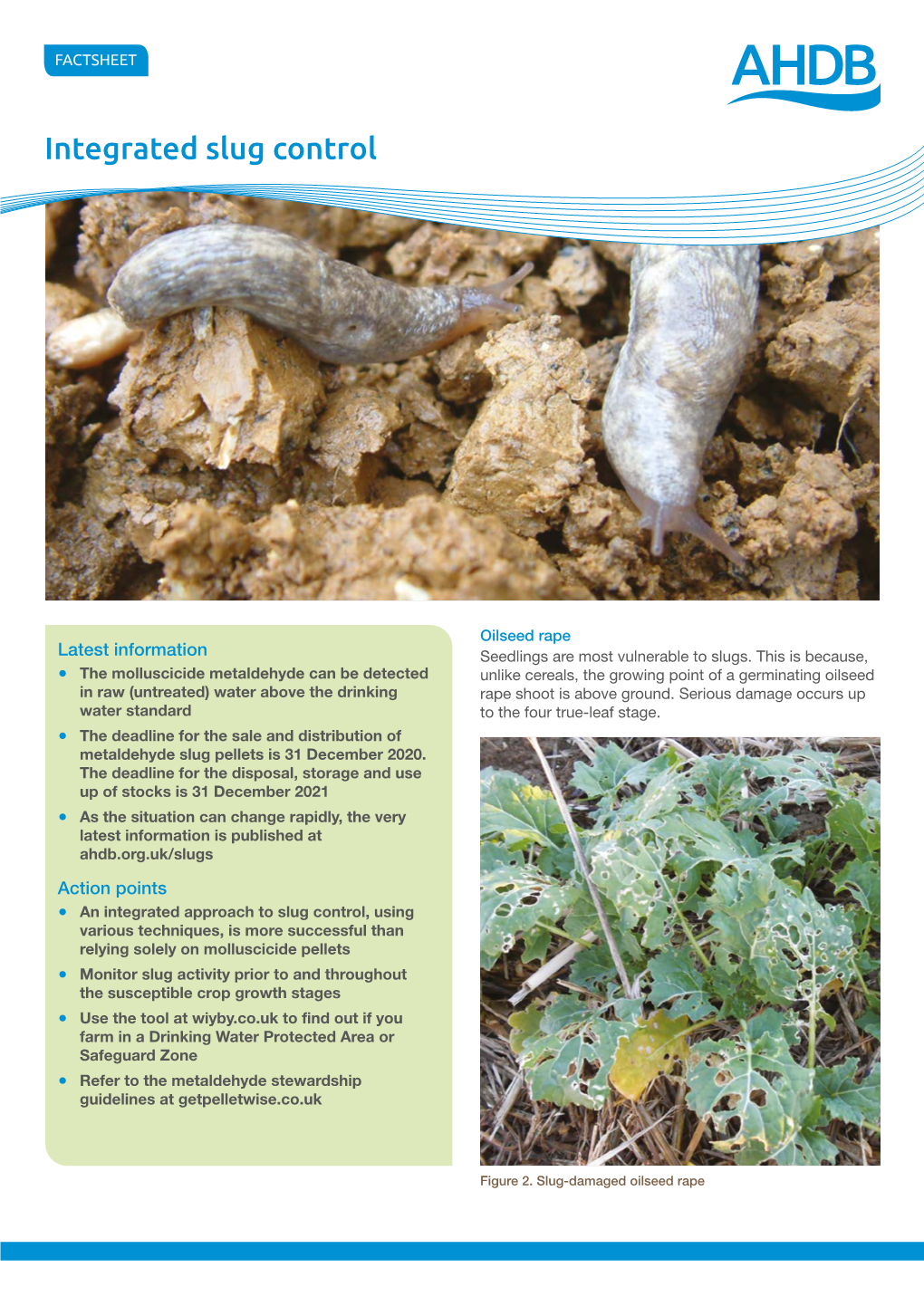 AHDB Integrated Slug Control