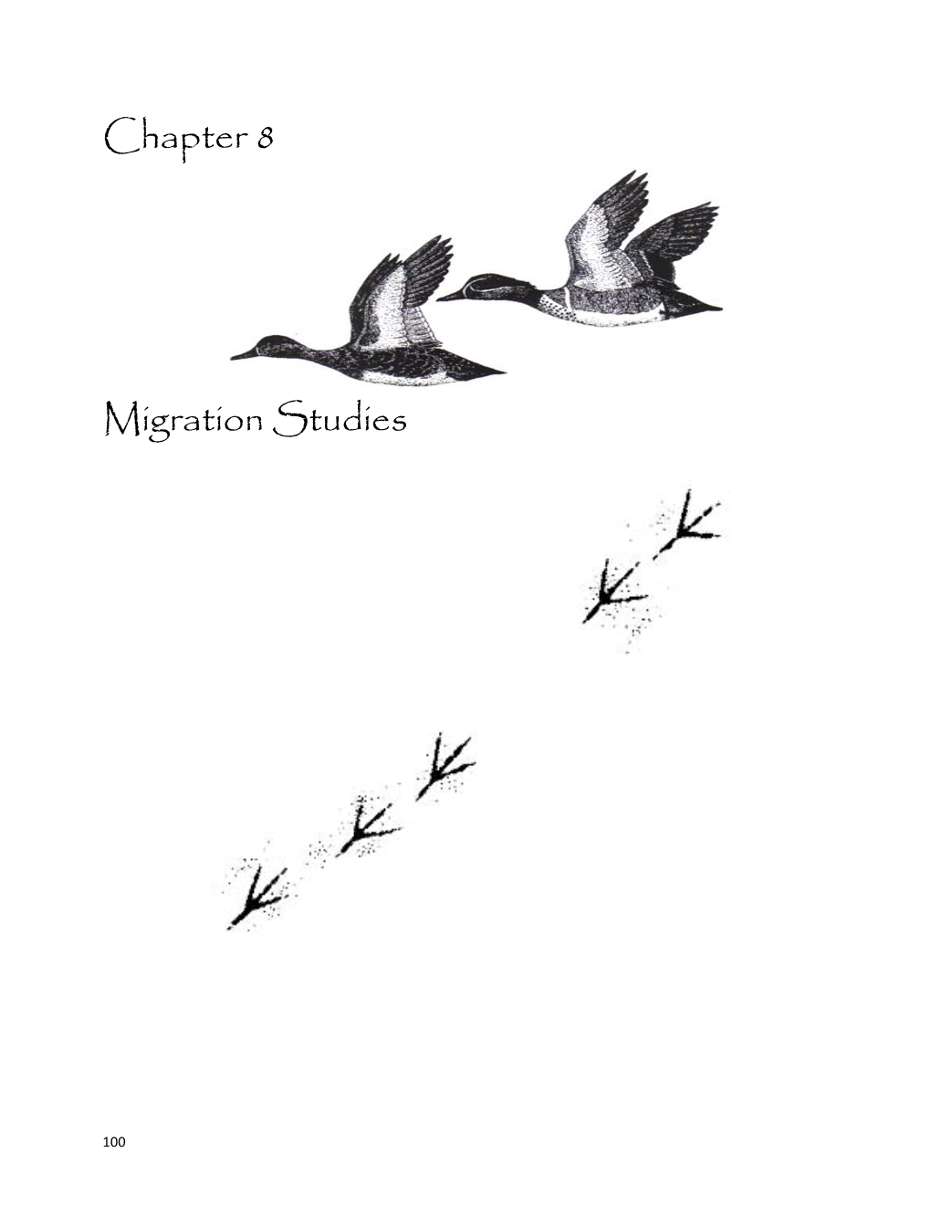 Chapter 8 Migration Studies