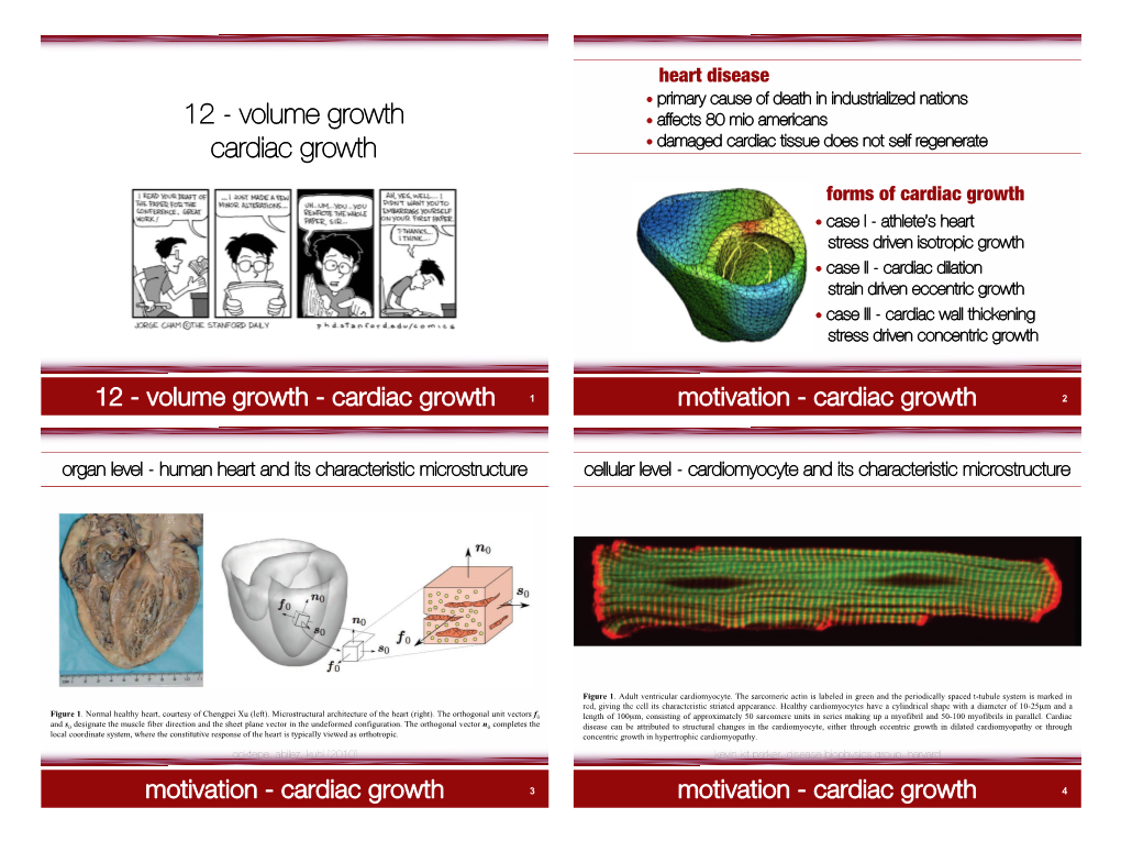 12 - Volume Growth • Affects 80 Mio Americans Cardiac Growth • Damaged Cardiac Tissue Does Not Self Regenerate
