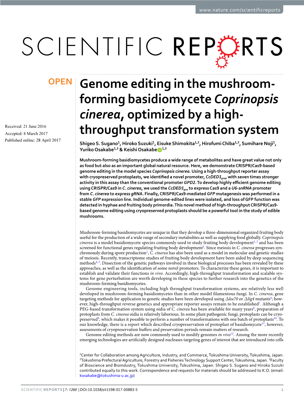 Forming Basidiomycete Coprinopsis Cinerea, Optimized by a High