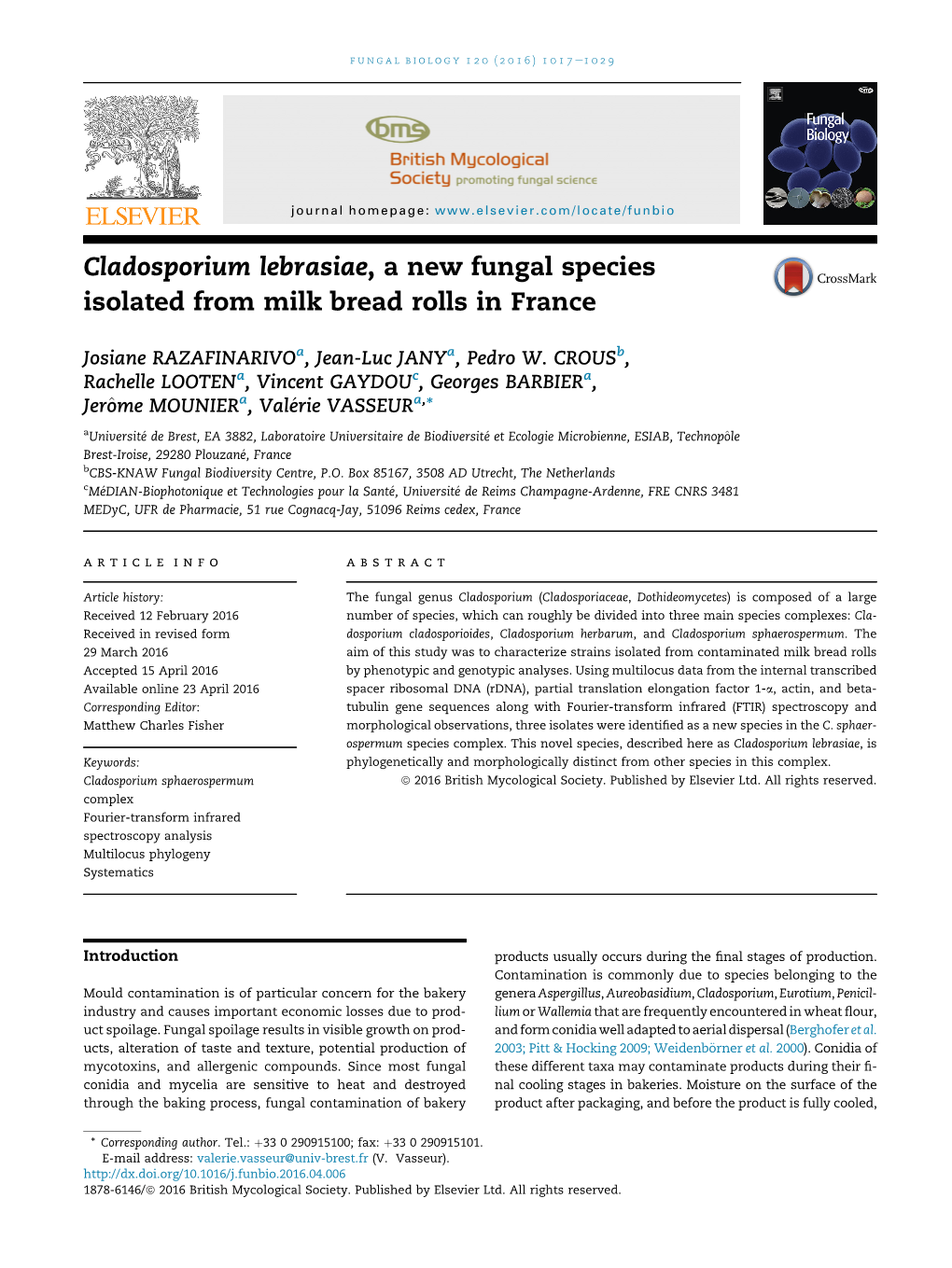 Cladosporium Lebrasiae, a New Fungal Species Isolated from Milk Bread Rolls in France