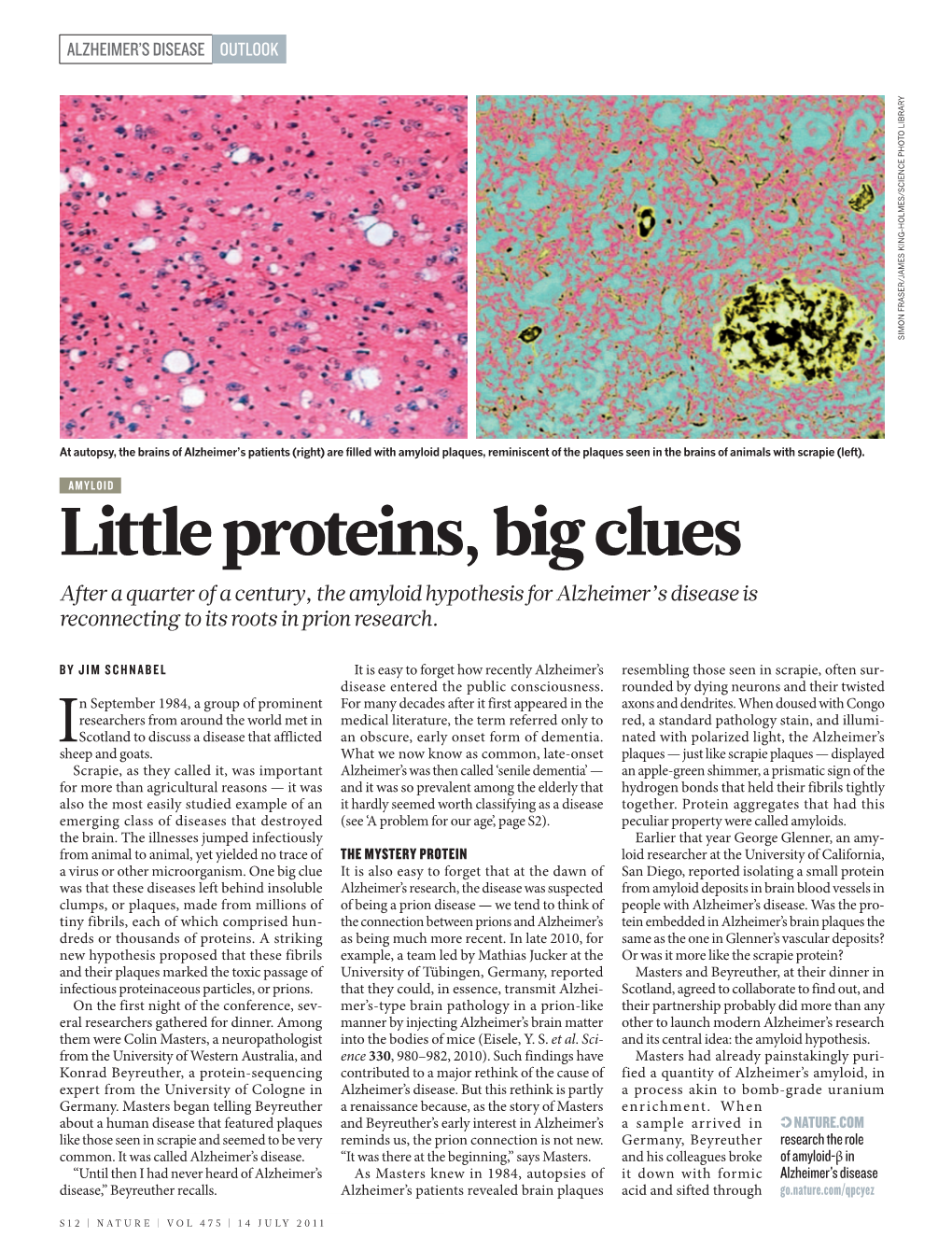 Little Proteins, Big Clues After a Quarter of a Century, the Amyloid Hypothesis for Alzheimer’S Disease Is Reconnecting to Its Roots in Prion Research