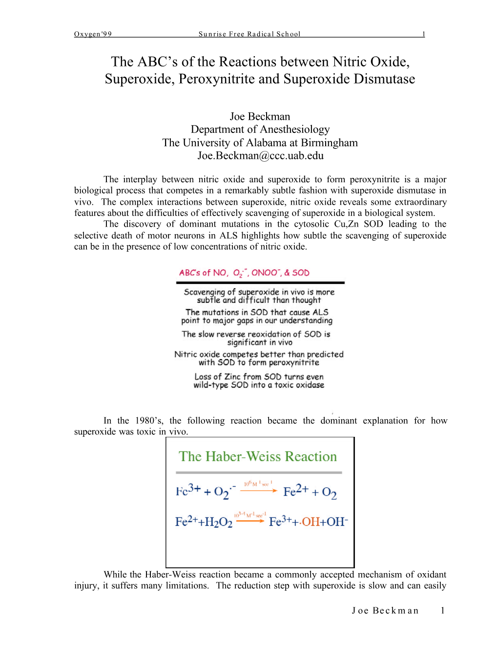 The ABC's of the Reactions Between Nitric Oxide, Superoxide