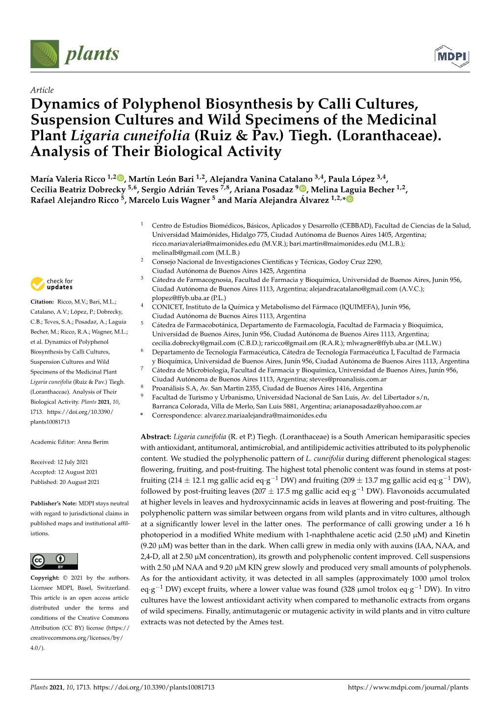 Dynamics of Polyphenol Biosynthesis by Calli Cultures, Suspension Cultures and Wild Specimens of the Medicinal Plant Ligaria Cuneifolia (Ruiz & Pav.) Tiegh