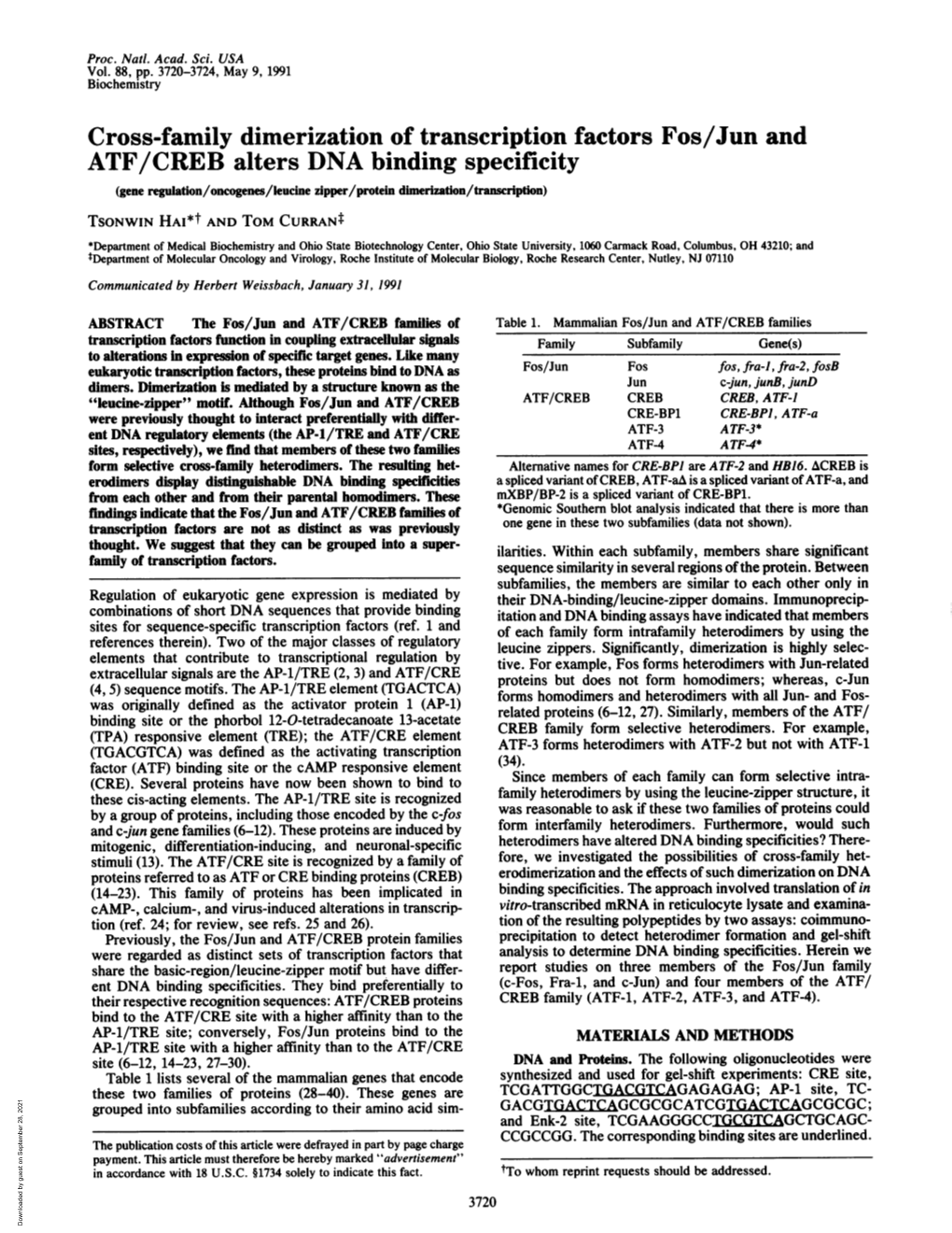 Cross-Family Dimerization of Transcription Factors Fos/Jun