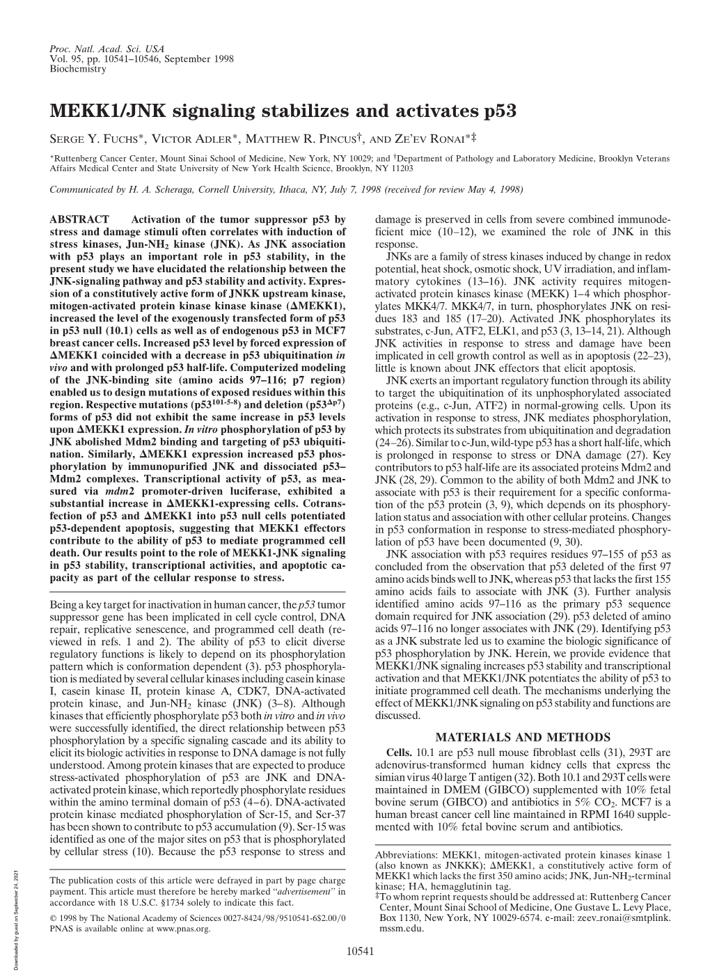 MEKK1/JNK Signaling Stabilizes and Activates P53