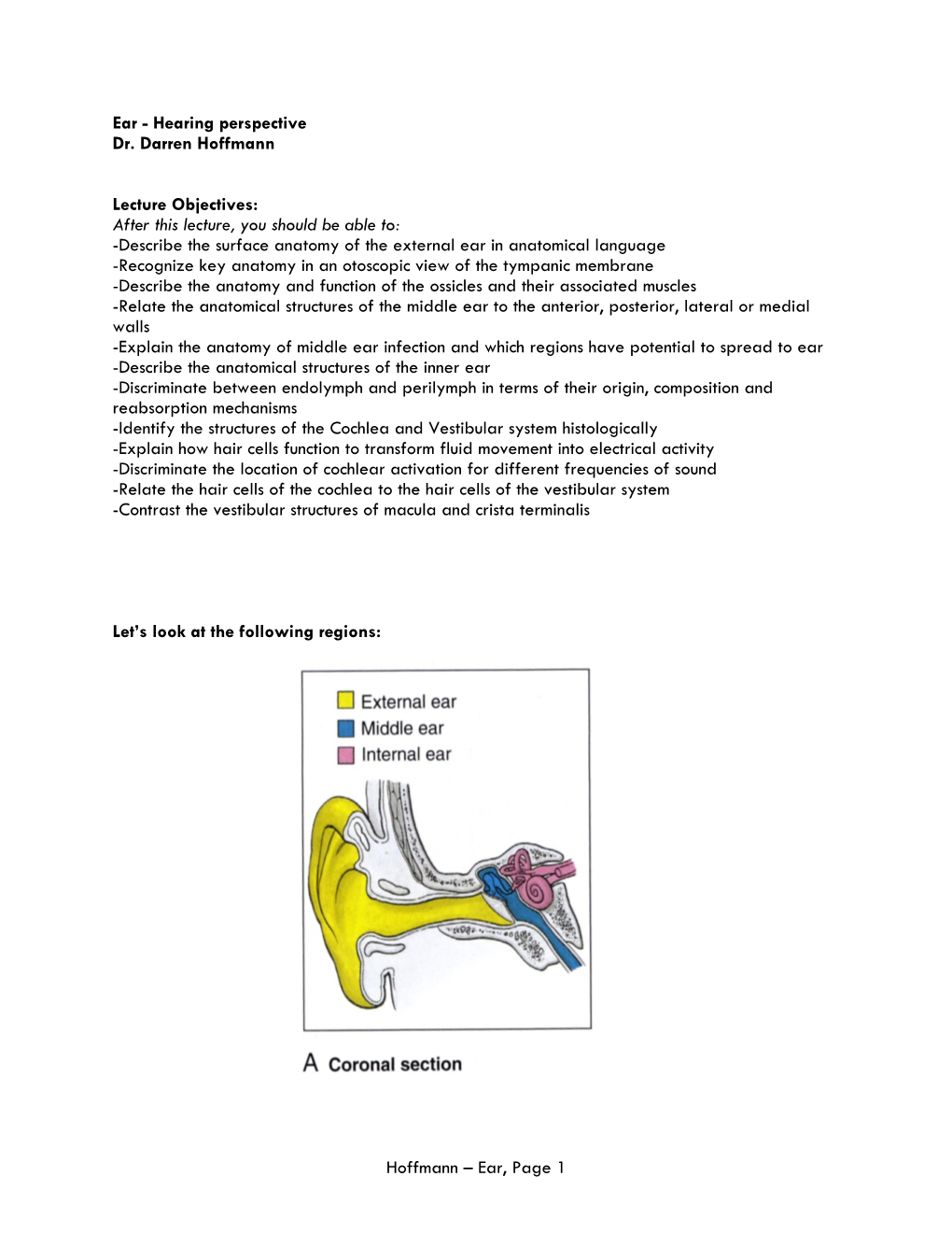 Ear, Page 1 Lecture Outline