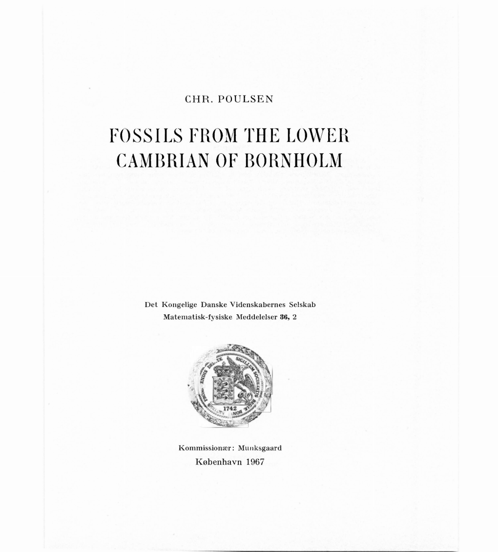 Fossils from the Lower Cambrian of Bornholm