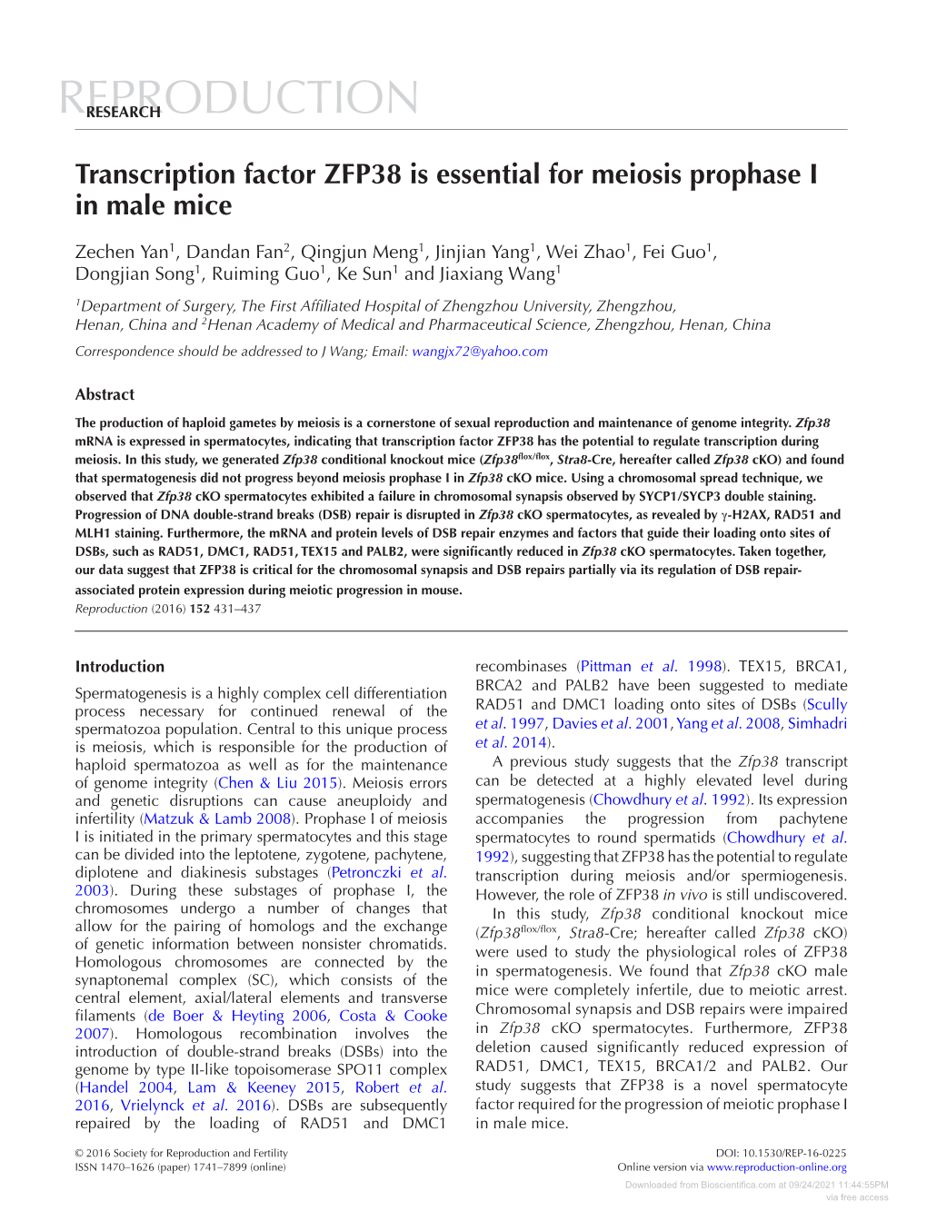 Transcription Factor ZFP38 Is Essential for Meiosis Prophase I in Male Mice