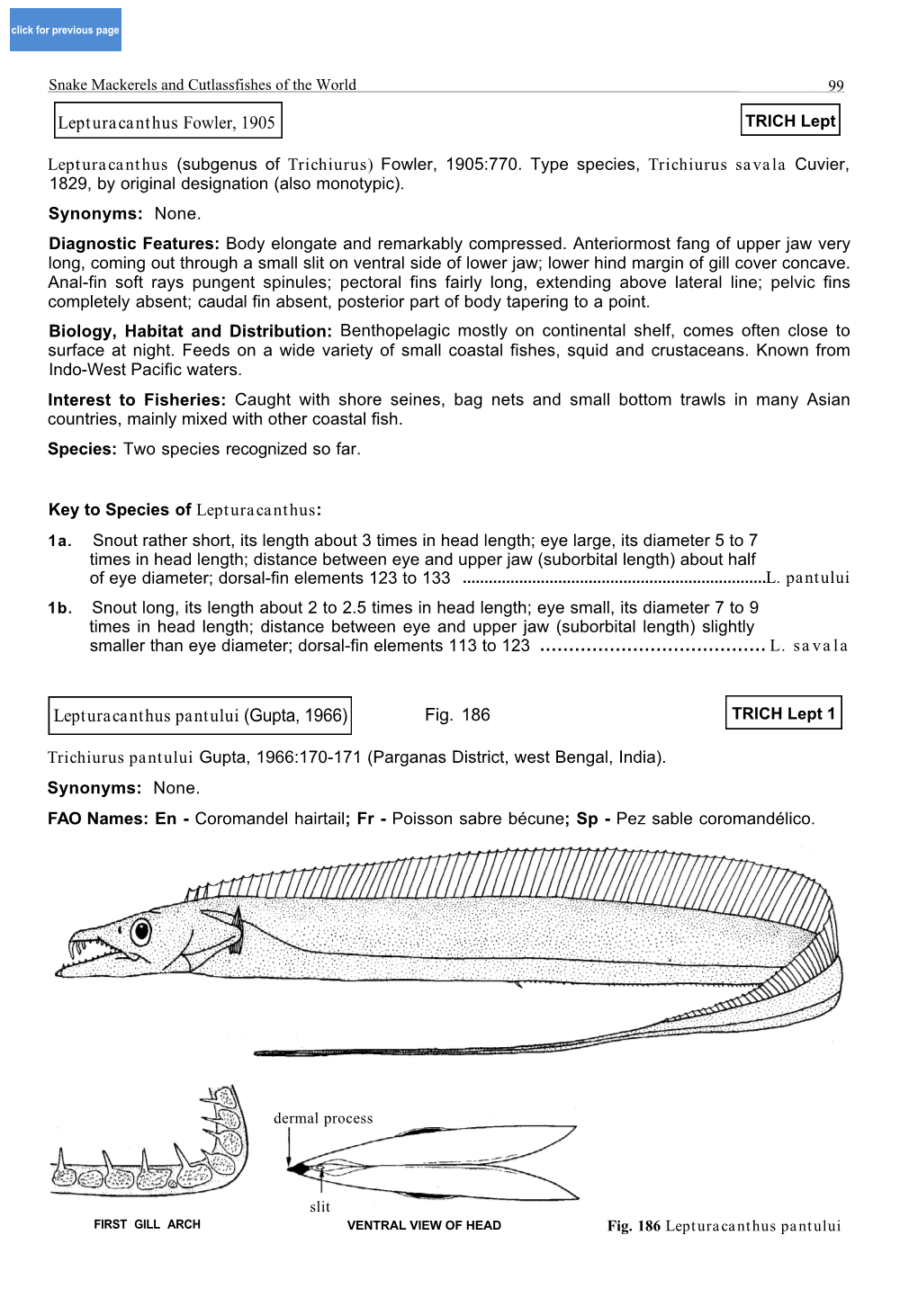 Lepturacanthus Fowler, 1905 Lepturacanthus Pantului (Gupta